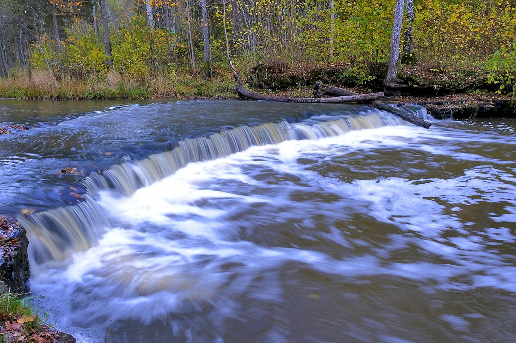 The Riežupe in autumn. The caves are cut into the sandstone along this river, and the walk in follows it.