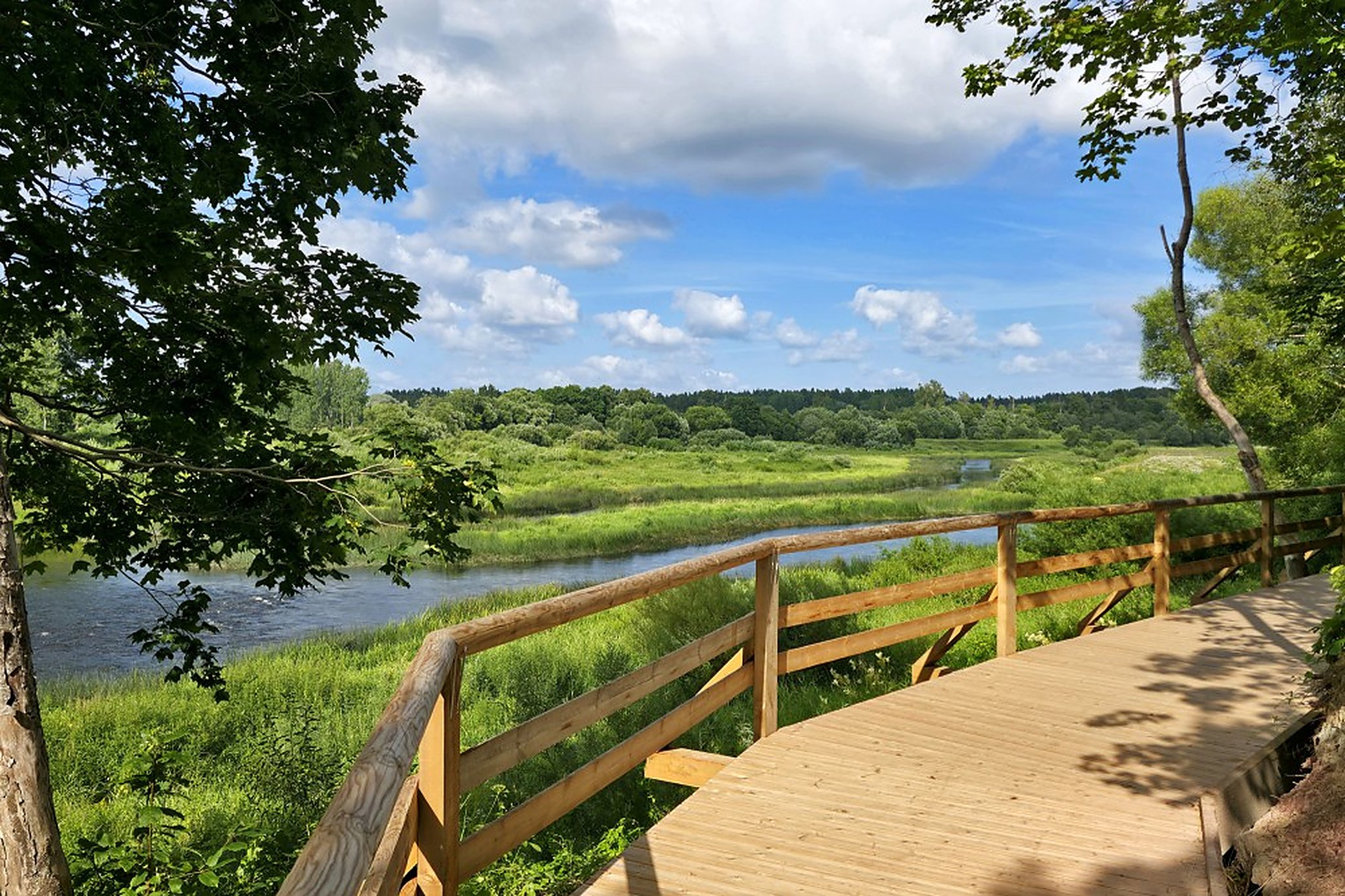 The boardwalk on the town side, looking out over the Venta and the water meadows.